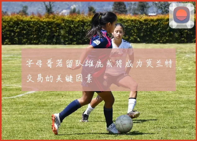字母哥若留队雄鹿或将成为莫兰特交易的关键因素