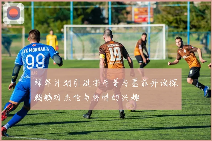 绿军计划引进字母哥与墨菲并试探鹈鹕对杰伦与怀特的兴趣
